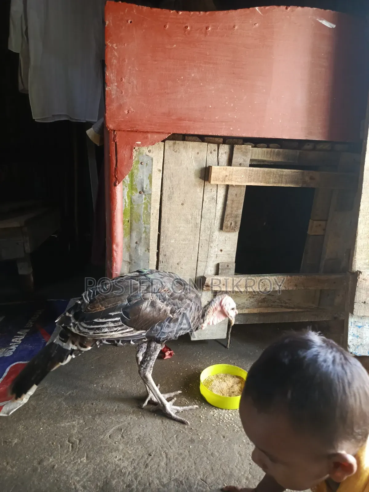 টাকার দরকার তাই সেল দিবো