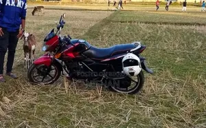 TVS 2008 Red