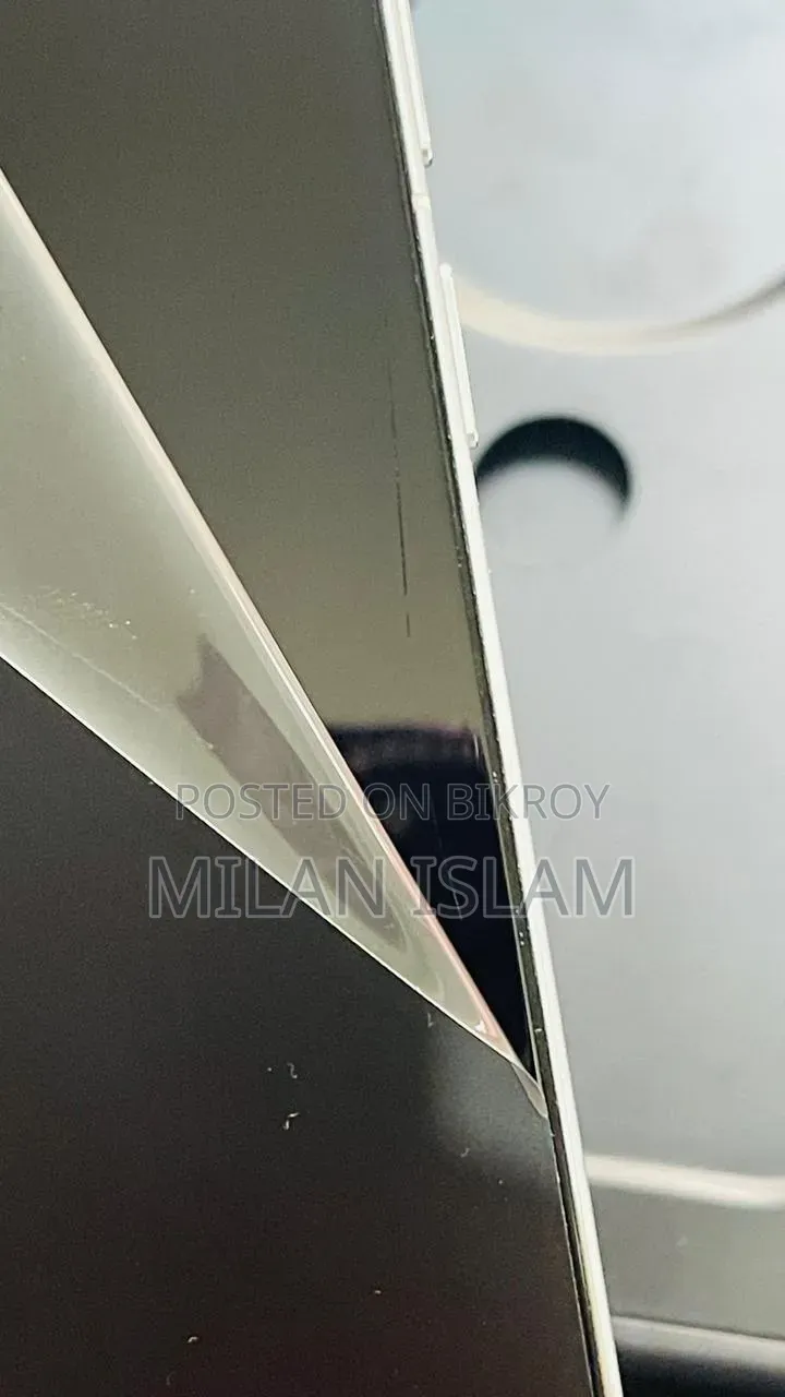 Vivo X300 256 GB