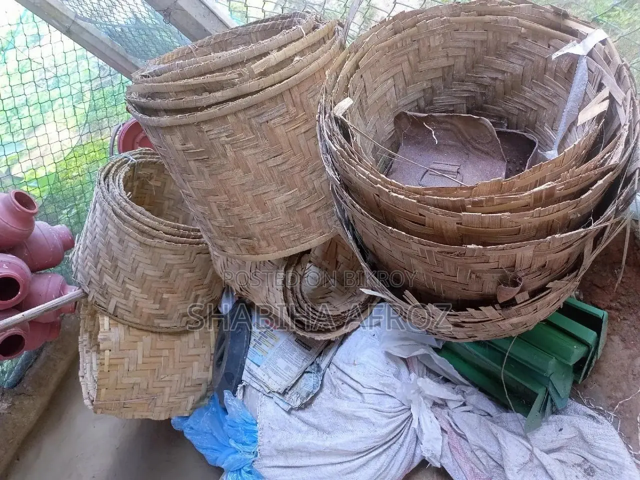 Chicken coop for sale or rent on an emergency basis