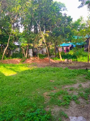 12 Decimal Land for Sale with Mud House and Complete Documents