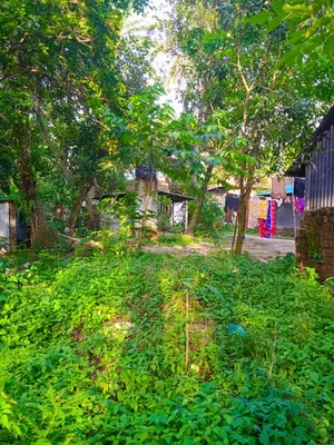 মাটির ঘর ও সম্পূর্ণ কাগজপত্রসহ প্রস্তুত ১২ শতাংশ জমি বিক্রয়