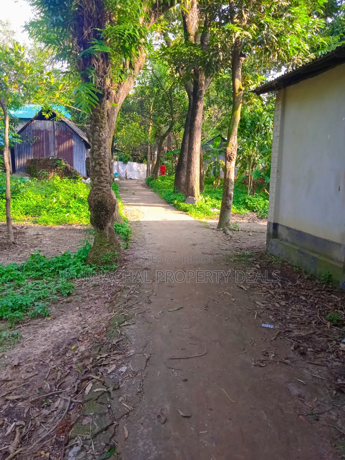 মাটির ঘর ও সম্পূর্ণ কাগজপত্রসহ প্রস্তুত ১২ শতাংশ জমি বিক্রয়
