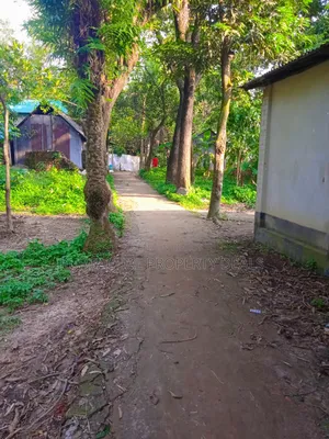 মাটির ঘর ও সম্পূর্ণ কাগজপত্রসহ প্রস্তুত ১২ শতাংশ জমি বিক্রয়