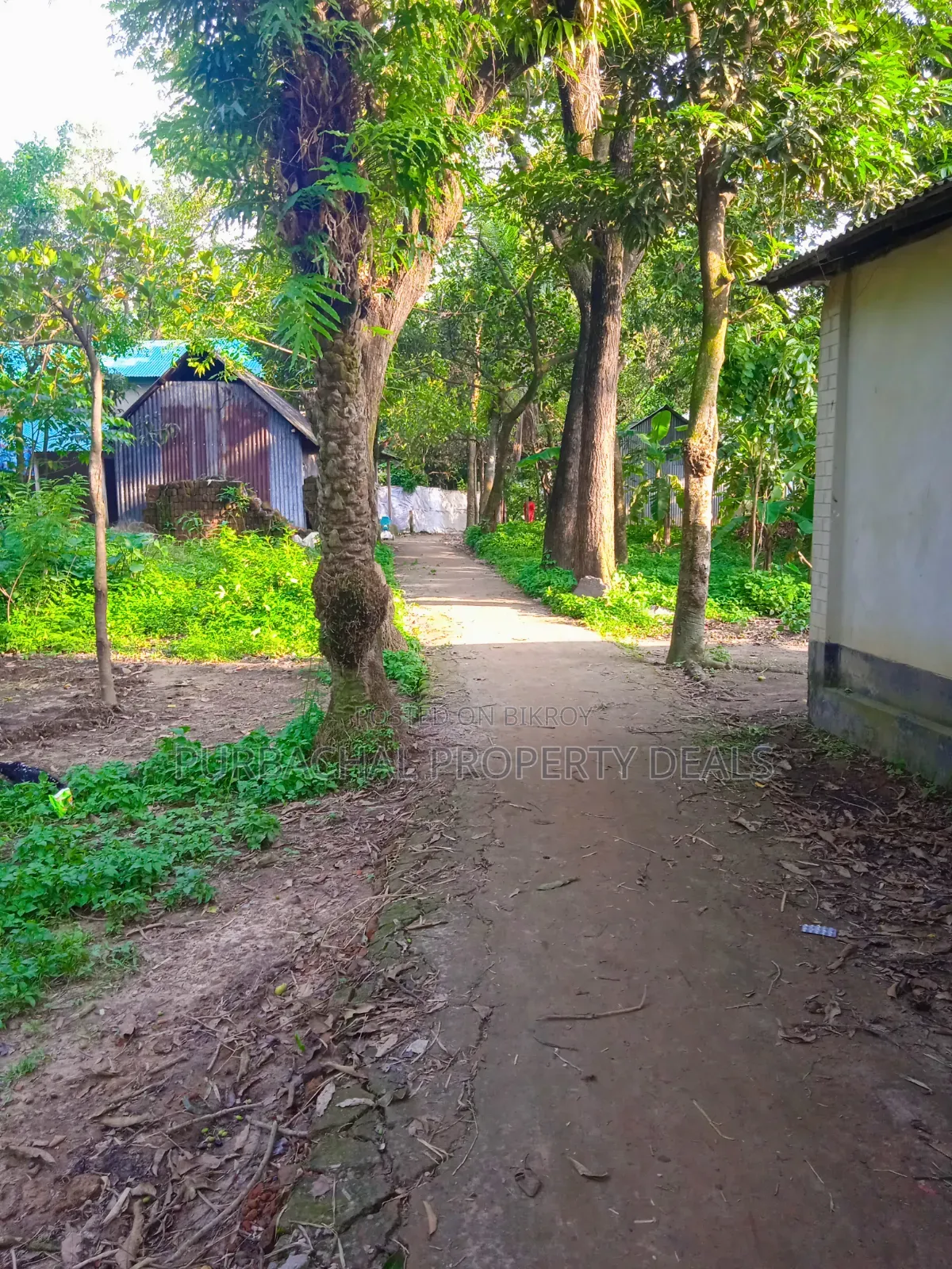 মাটির ঘর ও সম্পূর্ণ কাগজপত্রসহ প্রস্তুত ১২ শতাংশ জমি বিক্রয়