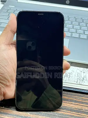 Apple iPhone 12 Pro Max 256 GB Gray