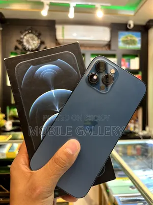 অ্যাপল আইফোন ১২ প্রো ম্যাক্স ১২৮ জিবি ব্লু