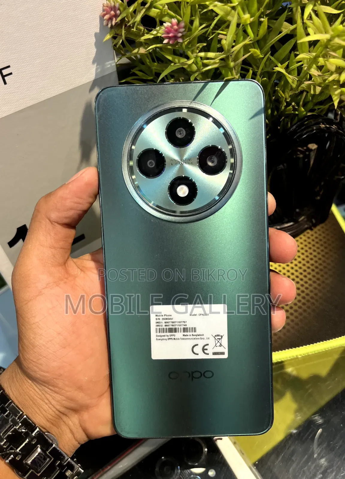 Oppo Reno12 F 256 GB Green