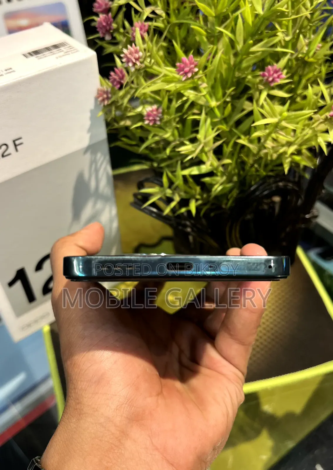 Oppo Reno12 F 256 GB Green