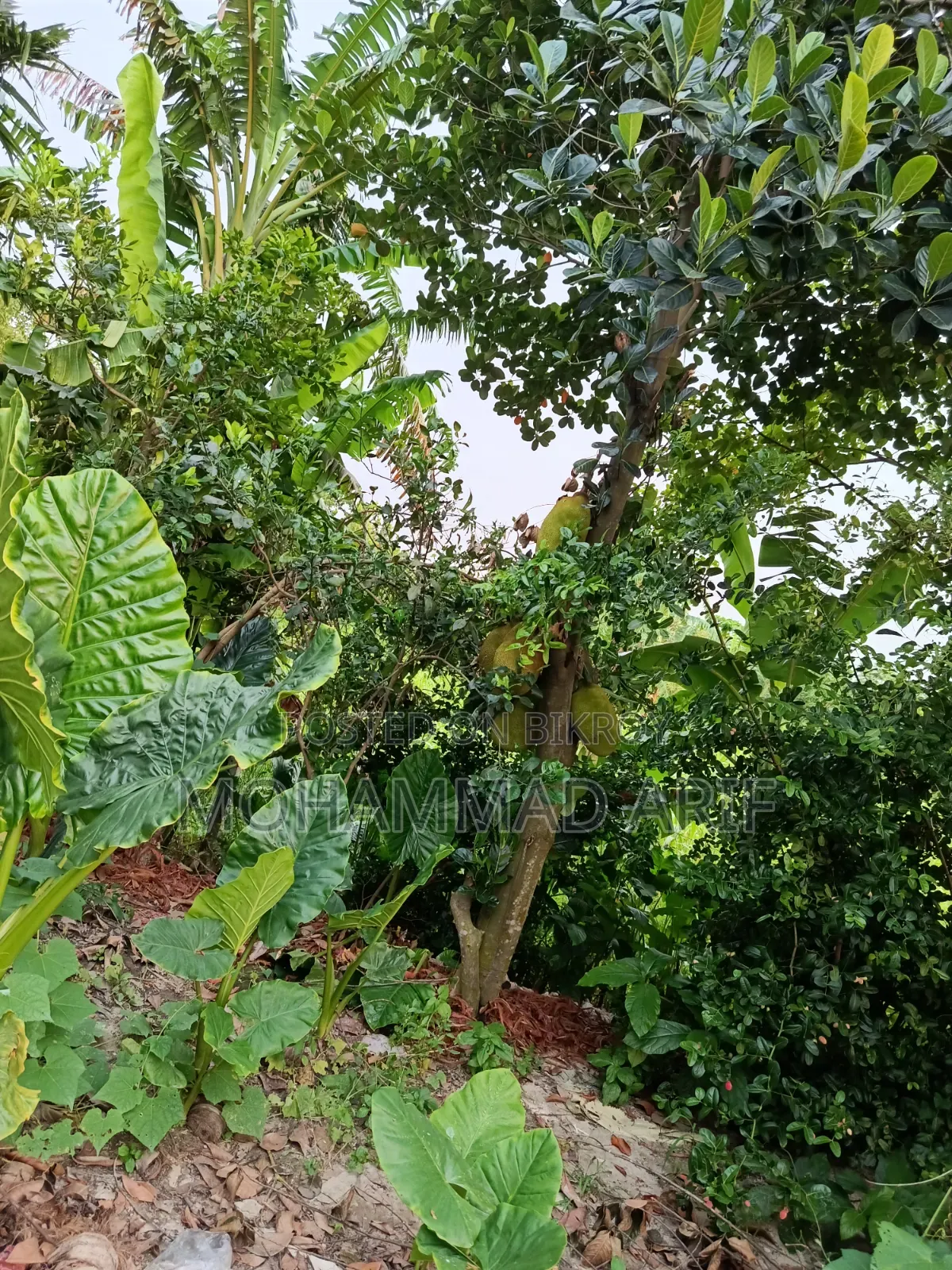 Furnished 3bdrm House in নিজস্ব, Bandar for Sale