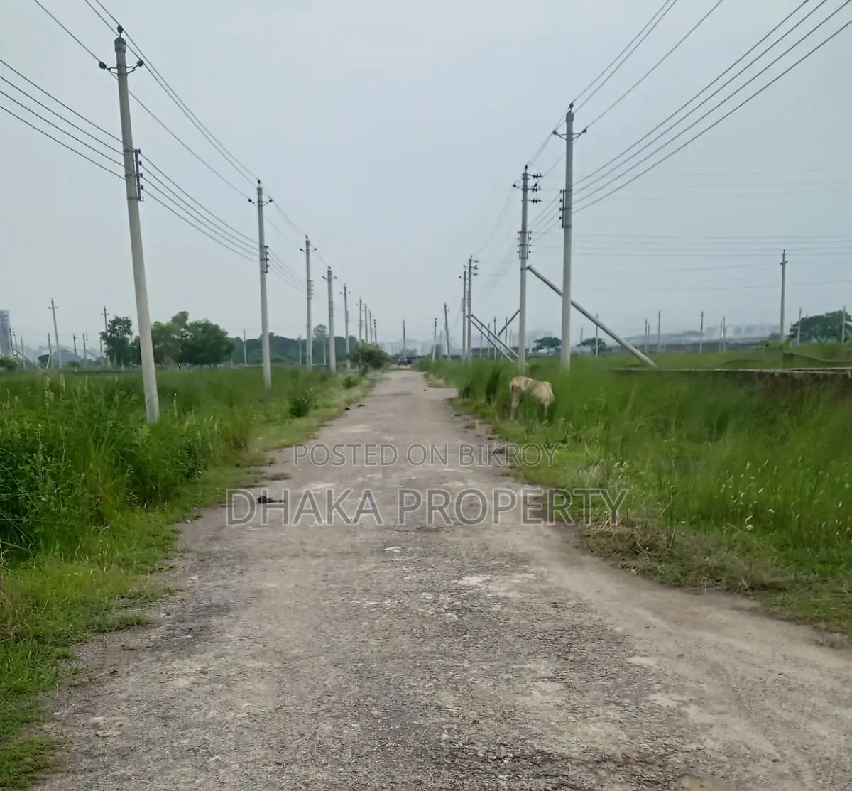 South-facing 5 Katha Plot for Sale, Sector-16/D Block