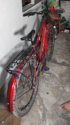 Prince Cycle