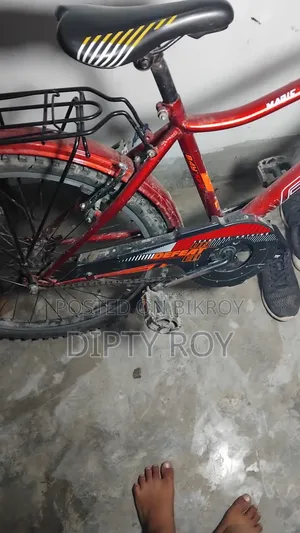 Prince Cycle