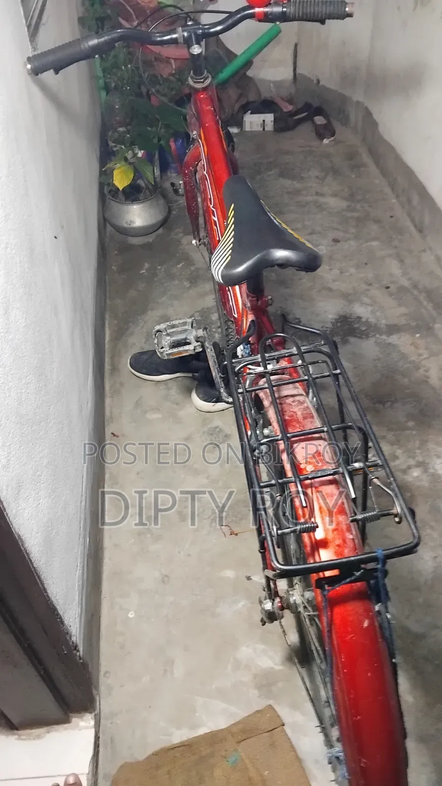 Prince Cycle