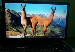 Desktop Computer Asus 8GB Intel Core I5 SSD 256GB