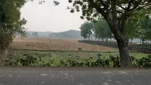 সিলেট শহরের অদূরে এয়ারপোর্ট-হরিপুর রোড সংলগ্ন জমি বিক্রি হবে
