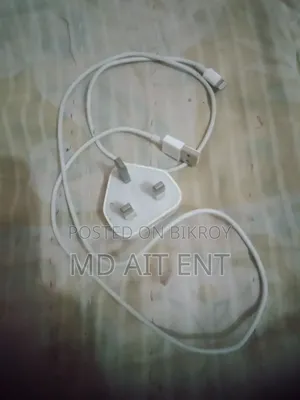 iPhone Charger and Cable