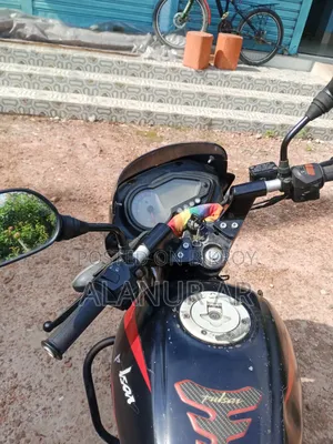 Bajaj Pulsar 150 2009 Black