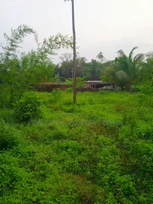 বিলাসবহুল রিসোর্ট ডেভেলপমেন্ট প্রজেক্টের জন্য ১৩.৫০ শতাংশ নদীর ধারের জমি
