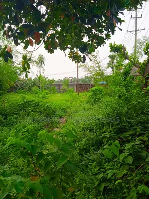 13.50 Decimal Riverfront Land for a Luxury Resort Development Project