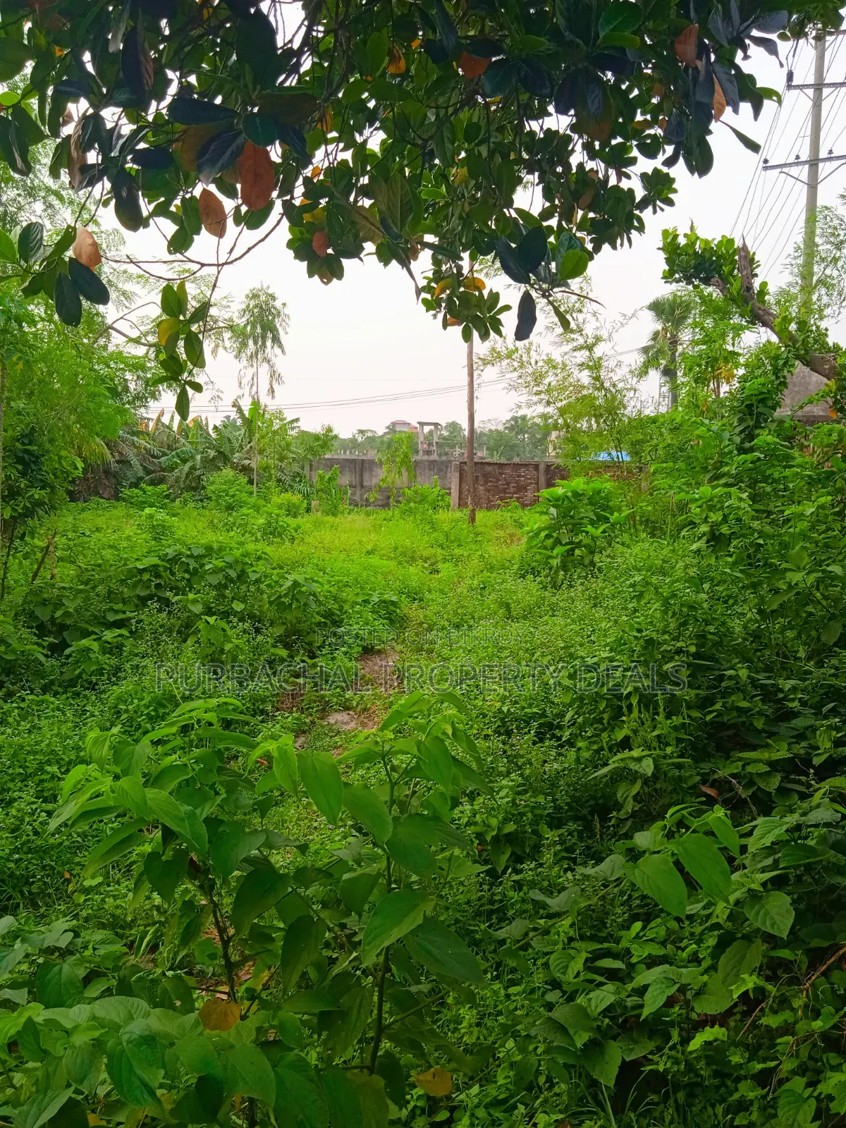 13.50 Decimal Riverfront Land for a Luxury Resort Development Project