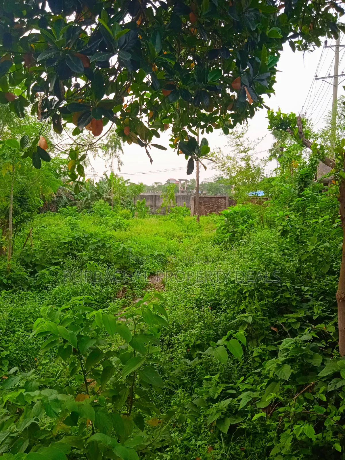 13.50 Decimal Riverfront Land for a Luxury Resort Development Project