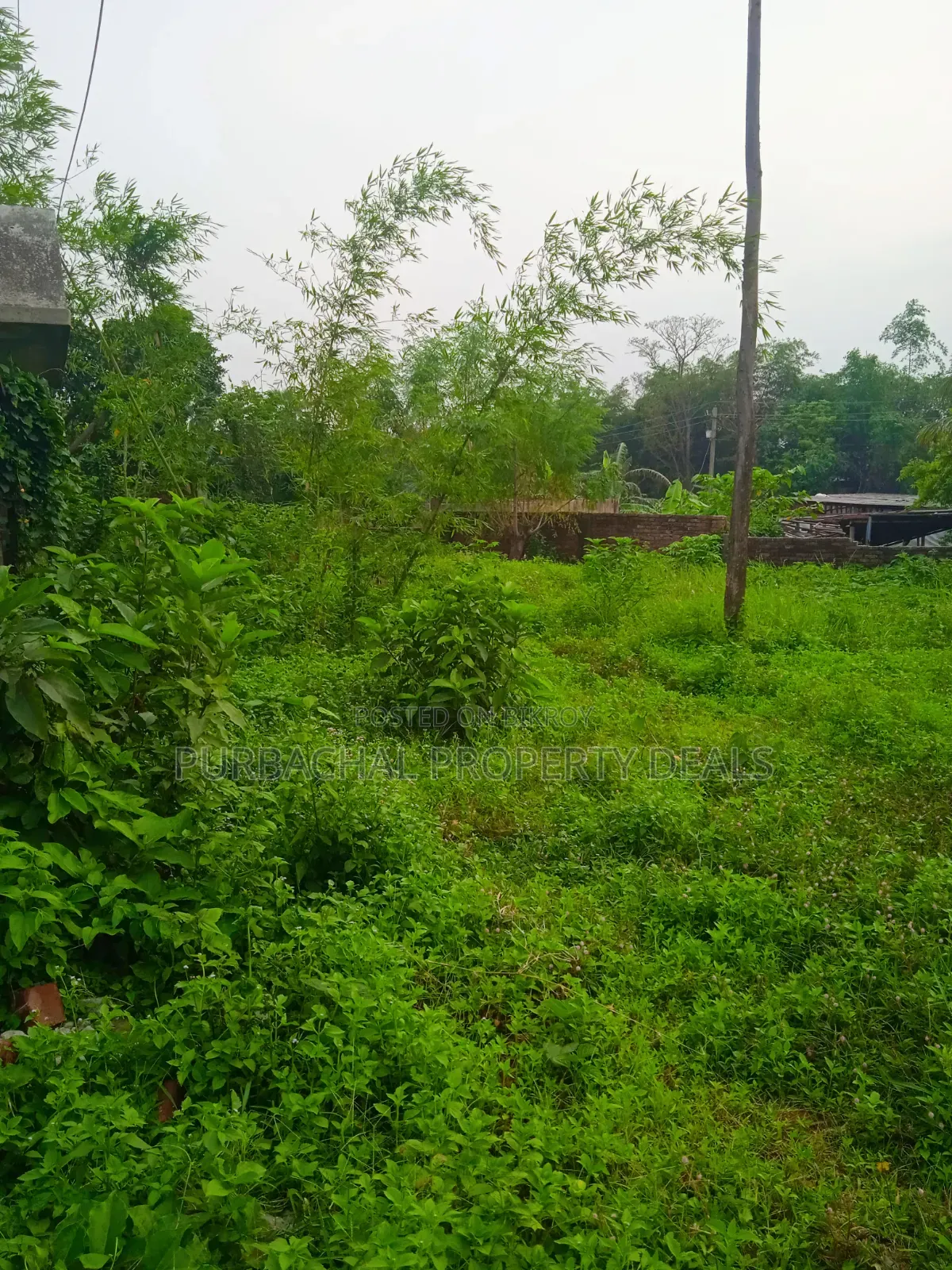 13.50 Decimal Riverfront Land for a Luxury Resort Development Project
