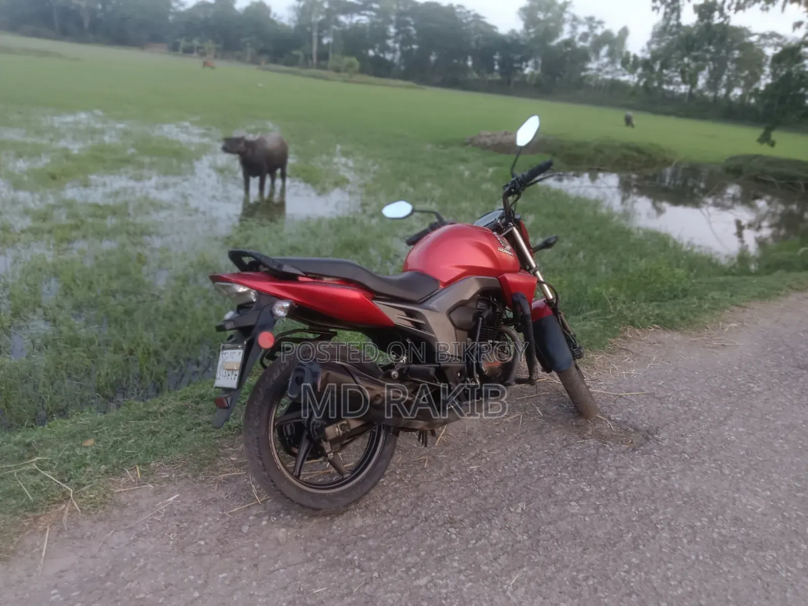 Honda CB ২০১৯ রেড