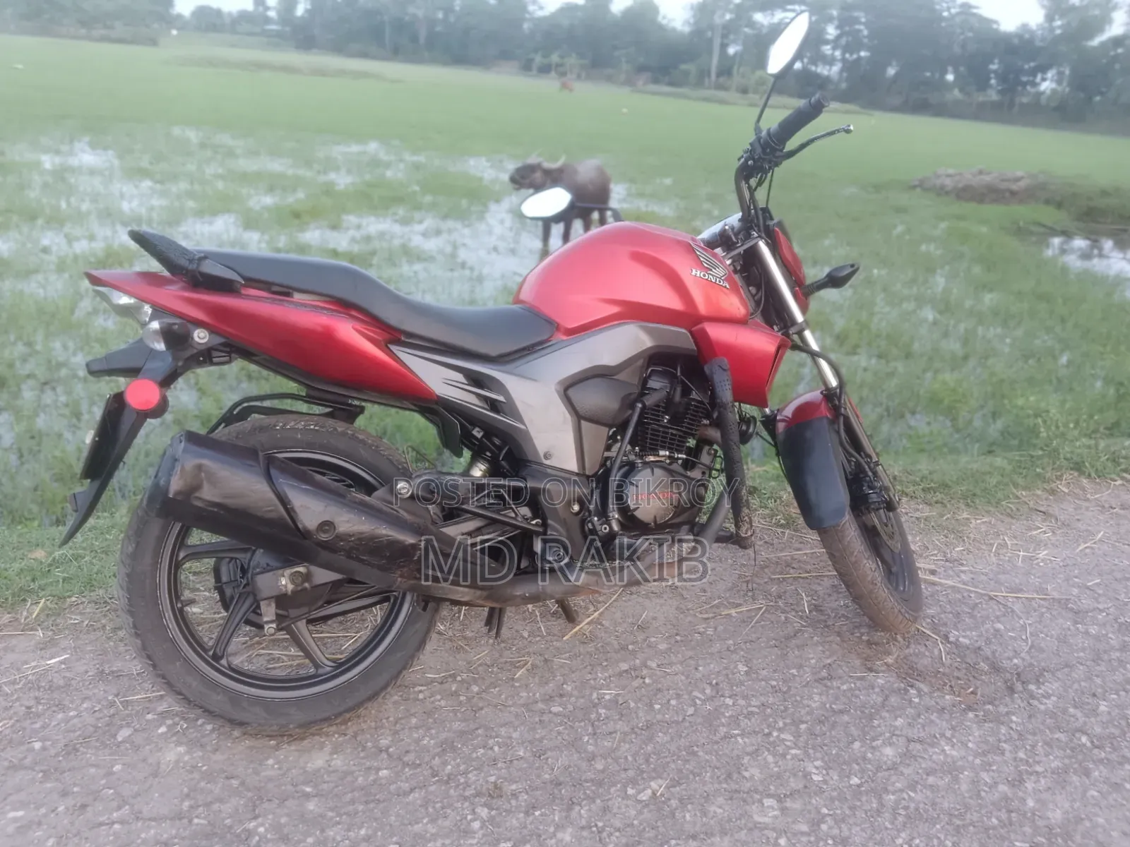 Honda CB ২০১৯ রেড