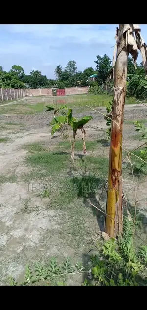 বাগানবাড়ি/বাংলোবাড়ি ৪৮ শতক জমিতে