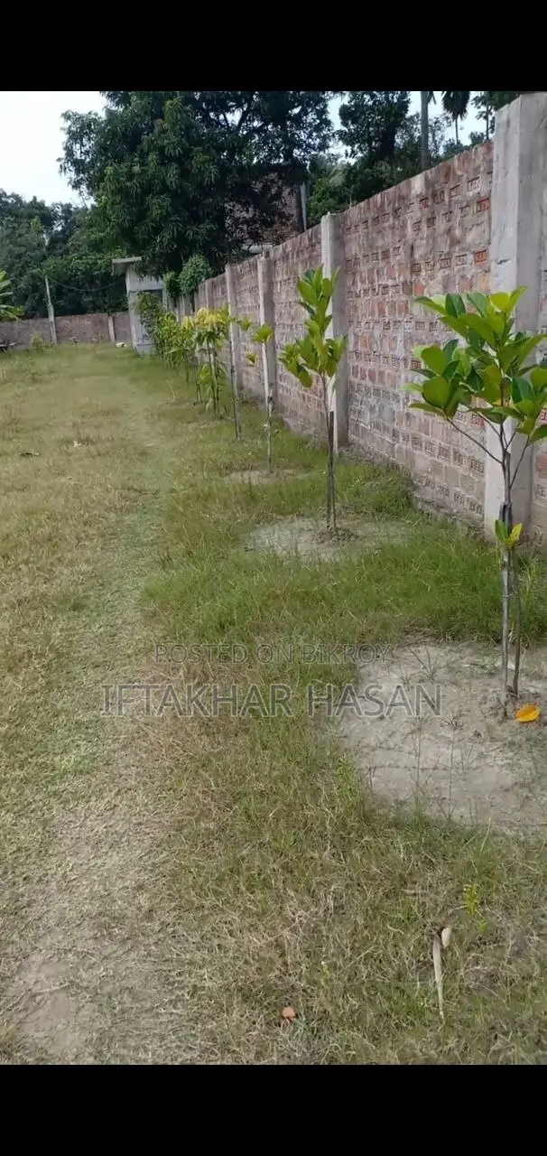 বাগানবাড়ি/বাংলোবাড়ি ৪৮ শতক জমিতে