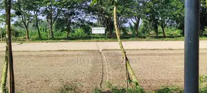 ত্রিভুবন ড্রিমল্যান্ড সিটিতে রেডি আবাসিক ও বাণিজ্যিক প্লট