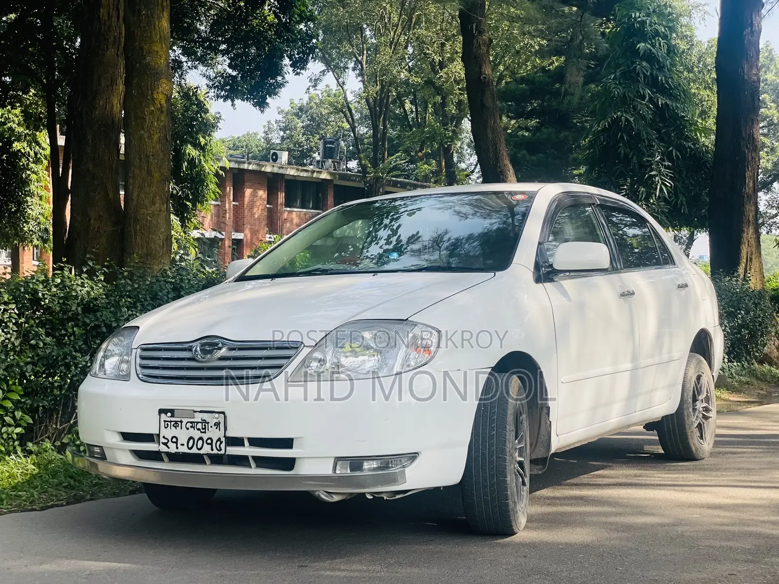 Toyota Corolla 2003 White