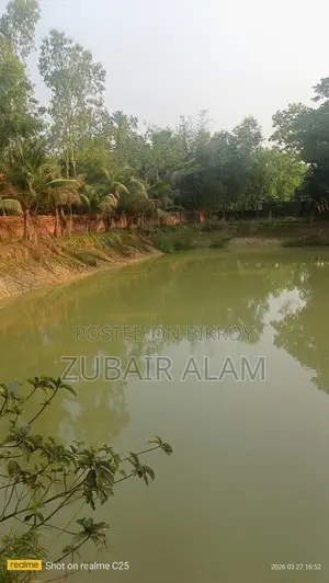 For Sale: 7 Bigha High Land in Lobonkotha, Mymensingh