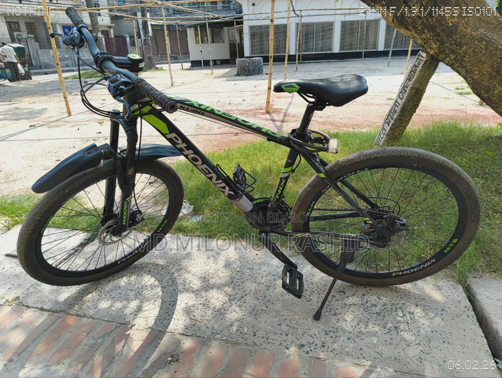 Phoenix Kubo Cycle