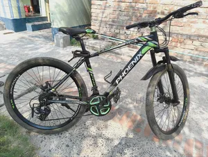 Phoenix Kubo Cycle