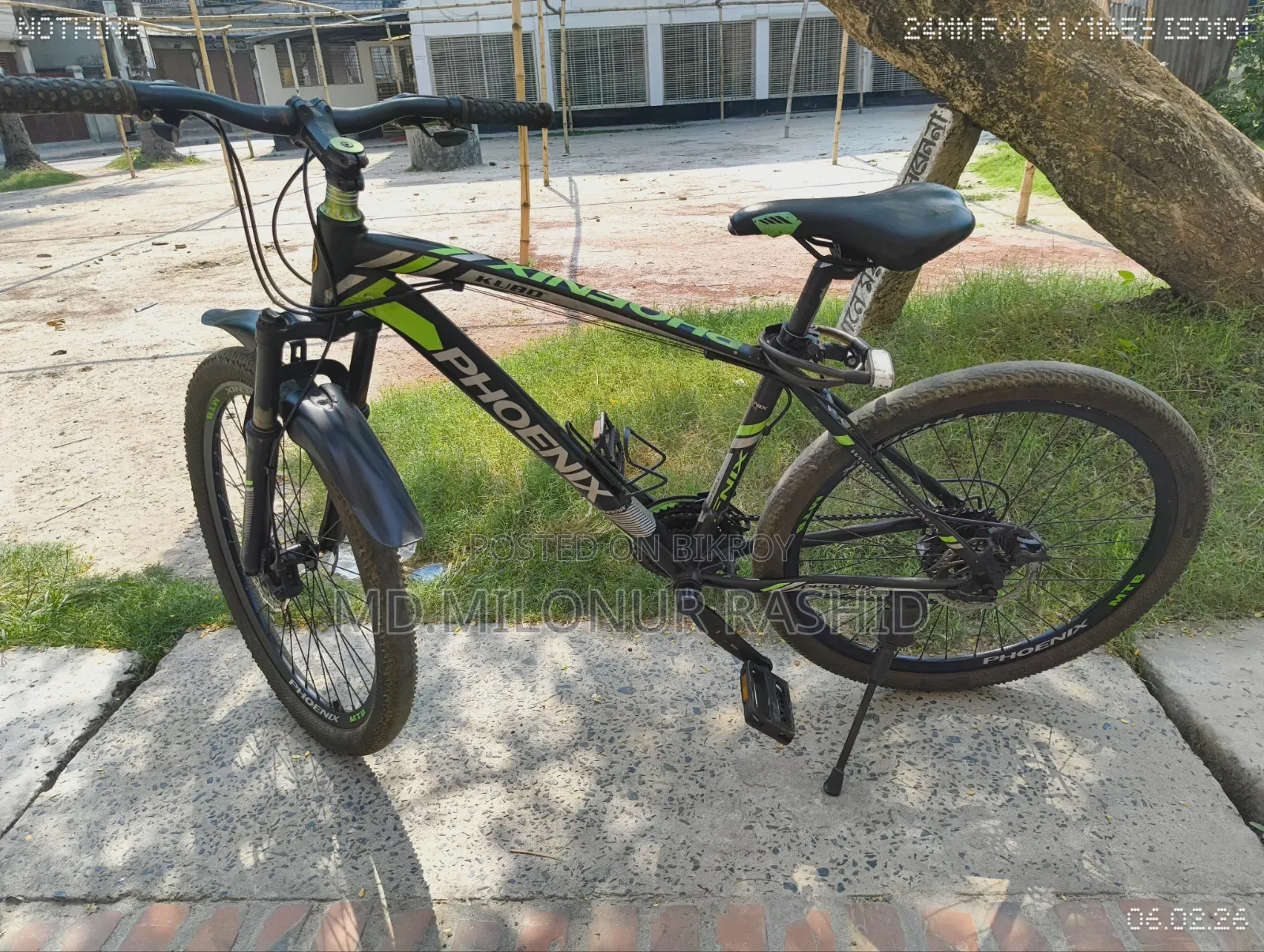 Phoenix Kubo Cycle
