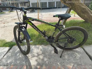 Phoenix Kubo Cycle