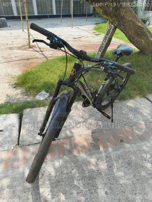 Phoenix Kubo Cycle