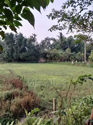 Land for Sell