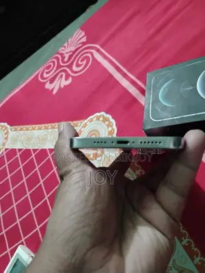 Apple iPhone 12 Pro Max ১২৮ জিবি সিলভার