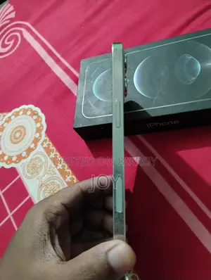 Apple iPhone 12 Pro Max ১২৮ জিবি সিলভার