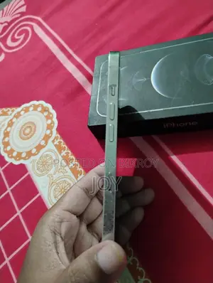 Apple iPhone 12 Pro Max ১২৮ জিবি সিলভার