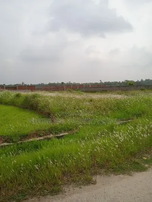 South-facing lake view 5 katha plot for sale in Bashundhara Residential Area