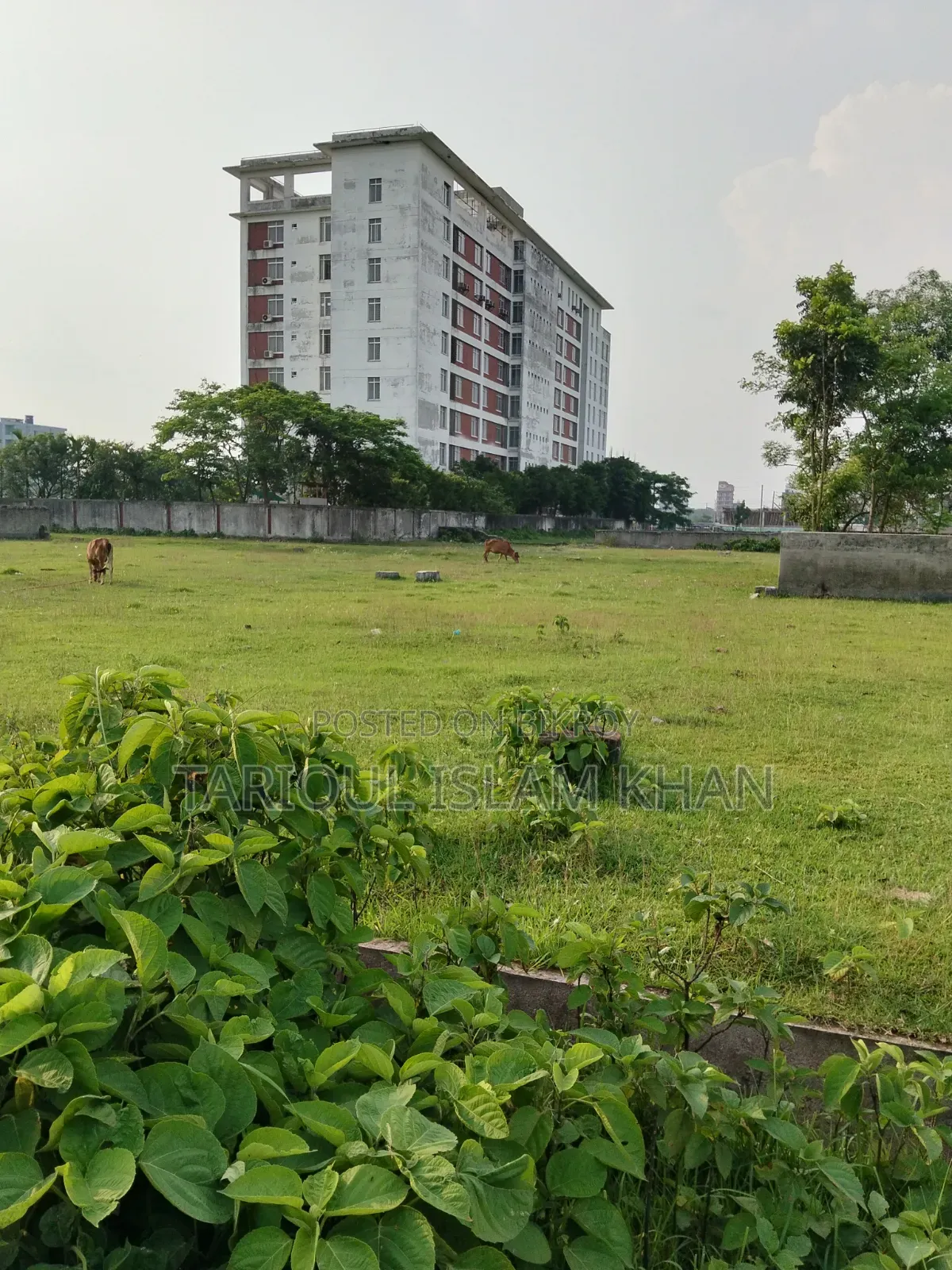 Plots for Sale