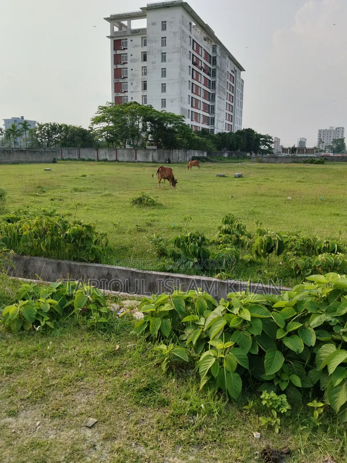 Plots for Sale