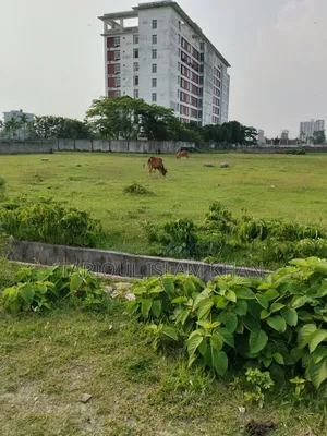Plots for Sale