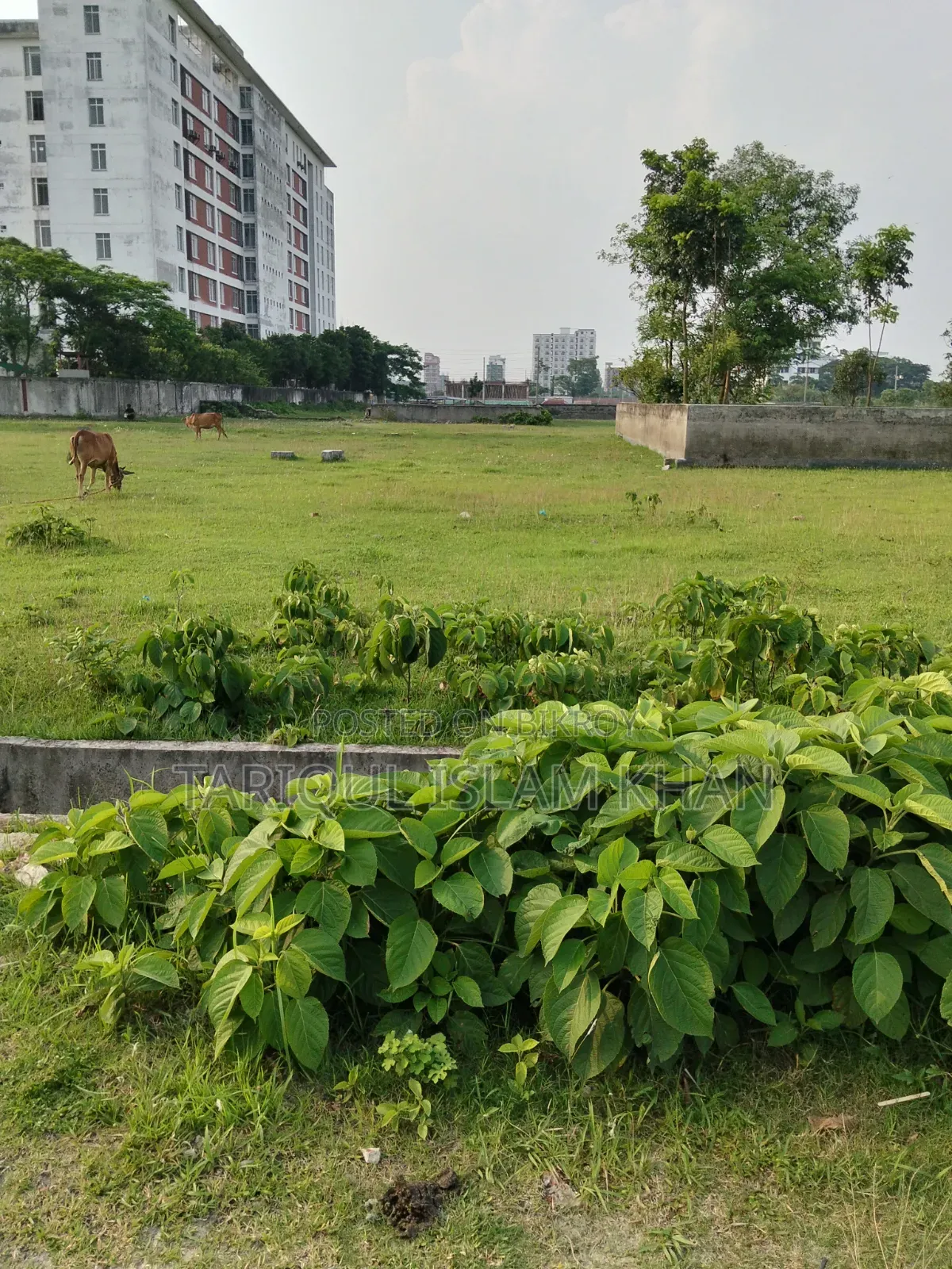 Plots for Sale