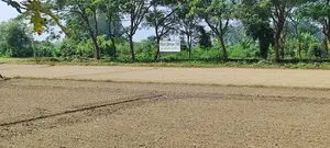 Premium 4 Katha Ready Plot for Sale in Tribhuban Dreamland City