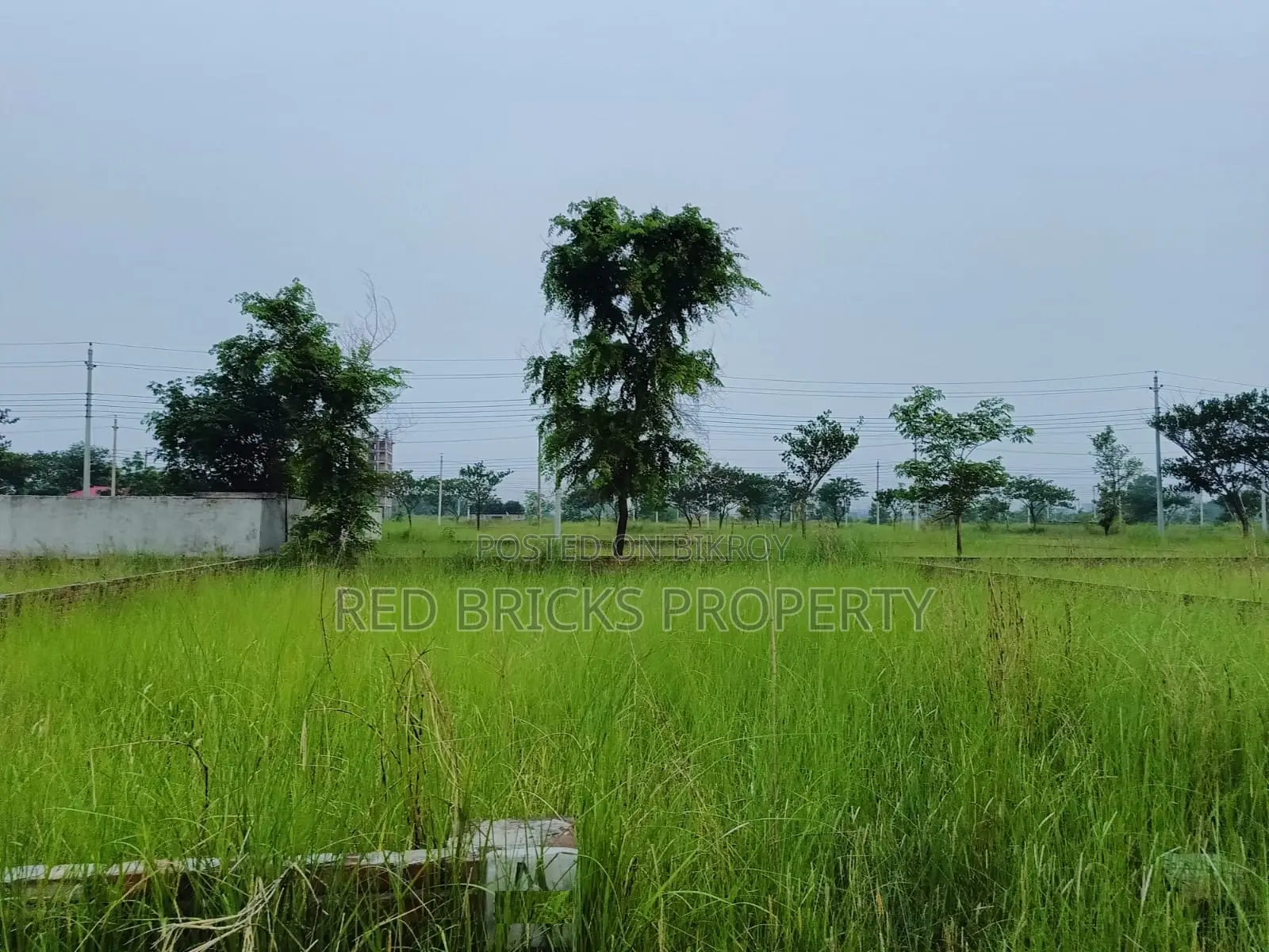 N Block 3 Katha Plot Sell